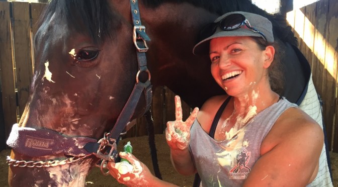 Best Times on the Farm