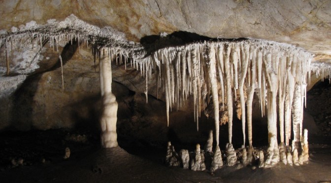 Wildlife Park & Jenolan Caves